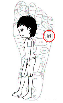 2.gif